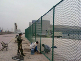 ���F�̶�ʽ���Wʩ���F��